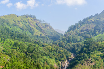 Obraz premium Tea plantations in Munnar, Kerala, India