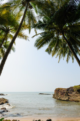 Fototapeta na wymiar Tropical beach with palm trees.