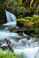 Virgin Falls in Alaska