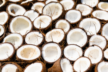 close up of a coconuts drying in the sun, India.