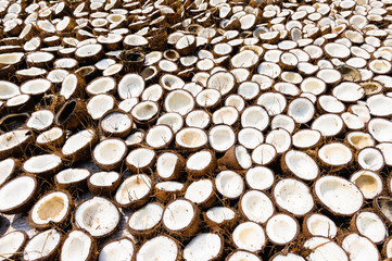 close up of a coconuts drying in the sun, India.