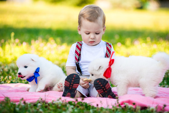 a child unsupervised with a puppy Samoyed