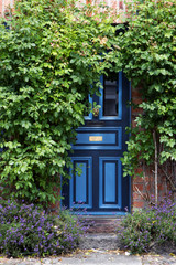 Fototapeta na wymiar beautiful blue front door in an old brick house overgrown with climbing plants