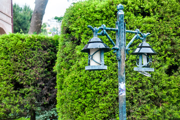 old lantern on a background of hedge