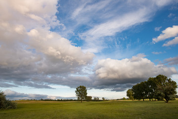 Fototapeta na wymiar Landscape, green field under blue sky