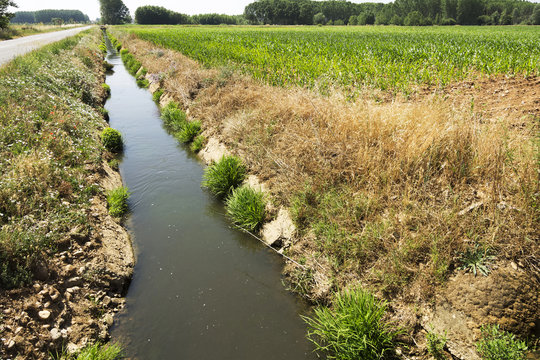 dams and canals for crops irrigate in the Castilla fields, Espa