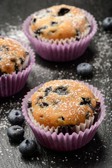 Blueberry muffins and blueberries on black background.