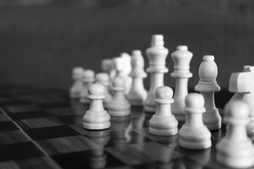 Scacchi fotografati su una scacchiera