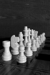 Scacchi fotografati su una scacchiera