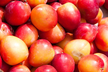 plums on the counter market for sale