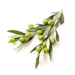 Schilderijen op glas green olives branch isolated on white background © KMNPhoto