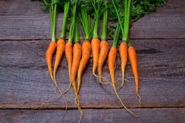 Carrots on a wooden table