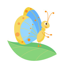 Cute flat butterfly vector. Flat butterfly isolated on white background. Different hand made style butterfly insects vector illustration. Baby kids butterfly insects