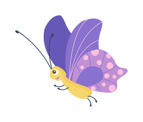 Cute flat butterfly vector. Flat butterfly isolated on white background. Different hand made style butterfly insects vector illustration. Baby kids butterfly insects