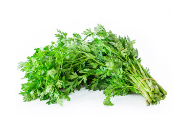 fresh Coriander sprig
