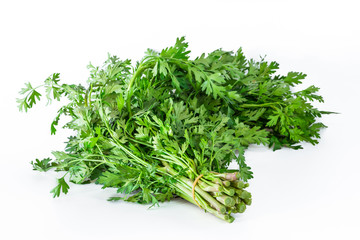 fresh Coriander sprig