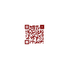 Simple icon QR code
