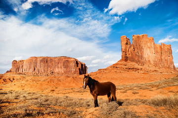 horse - monument valley - navajo park - unites states