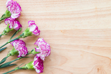 Obraz na płótnie Canvas Pink carnations on wooden background