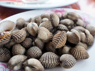 blood cockle shells on plate seafood of Thailand