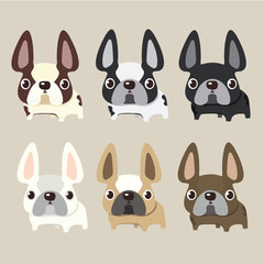 french bulldog design, pet and animal concept