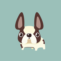 french bulldog design, pet and animal concept