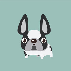 french bulldog design, pet and animal concept