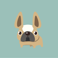 french bulldog design, pet and animal concept