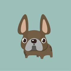 Obraz premium french bulldog design, pet and animal concept