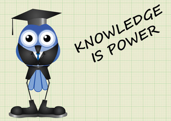 Knowledge is power essay