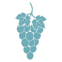 Grapes icon isolated