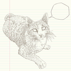 sitting cat, lovely cat is watching you