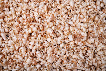 Sawdust wood closeup