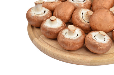 Champignon (True mushroom) on wooden board