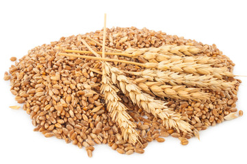 Ears of wheat