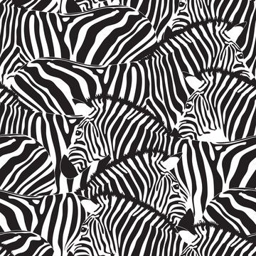 Zebra seamless pattern. Savannah Animal ornament. Wild animal texture. Striped black and white. design trendy fabric texture, vector illustration.
