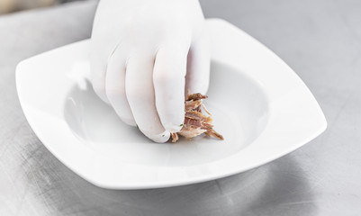 Chef preparing dishes