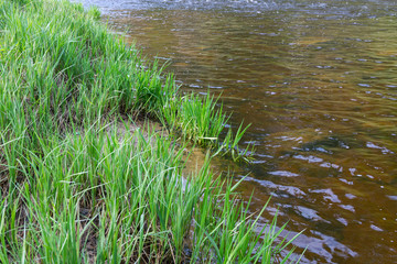 River Amata.