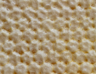 Honeycomb for background.
