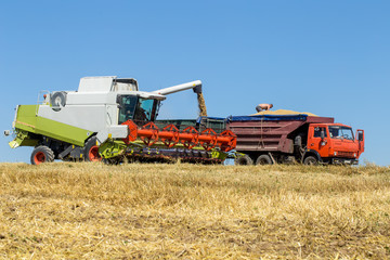 Technician works in the field for the harvest