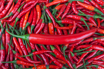 red chili or chilli cayenne pepper