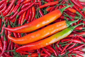 red chili or chilli cayenne pepper