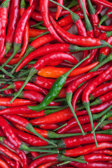 green chilli on red chili or chilli cayenne pepper