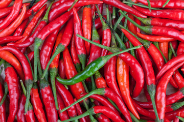 green chilli on red chili or chilli cayenne pepper