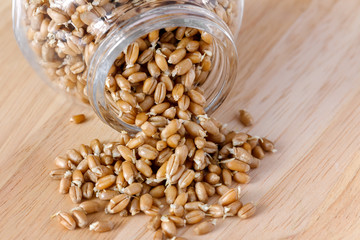 germinated wheat pour out of a glass jar on the wooden background - 115854924