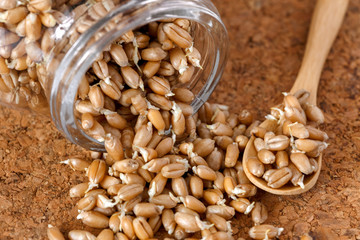 wheat germ in a glass jar on the cork background with a wooden spoon - 115854961