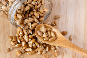 wheat germ in a glass jar on the wooden background with a wooden spoon - 115854975