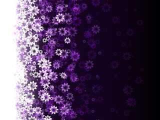 pattern of flowers on a purple background