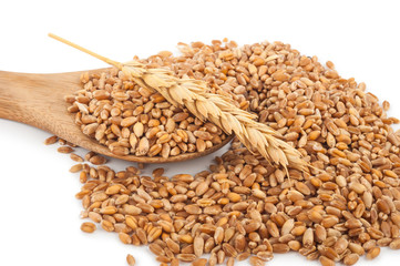 Wheat in wooden spoon