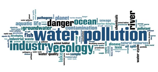 Water pollution